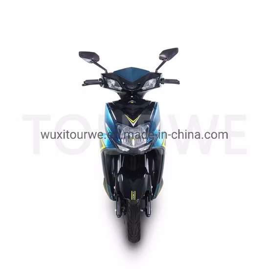 Flymate China Manufacturer High Speed Cheap Adult CKD Electric Motorcycle