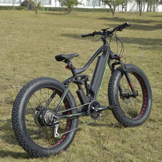 750V 48V Fat Tires Electric Ebike With14ah Lithium Battery Aluminum Alloy Frame