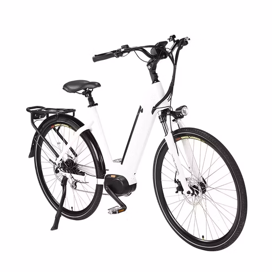 OEM ODM Customized Factory Wholesale Electric Bicycle Frame