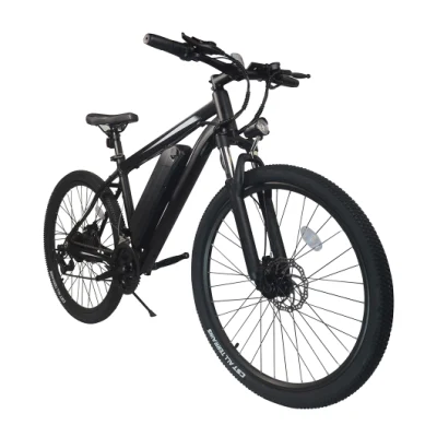 36V Lithium Battery Electrical Bike Brushless Motor E-Cycle