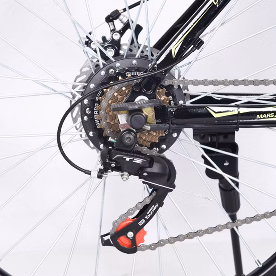 36V Lithium Battery Electrical Bike Brushless Motor E-Cycle