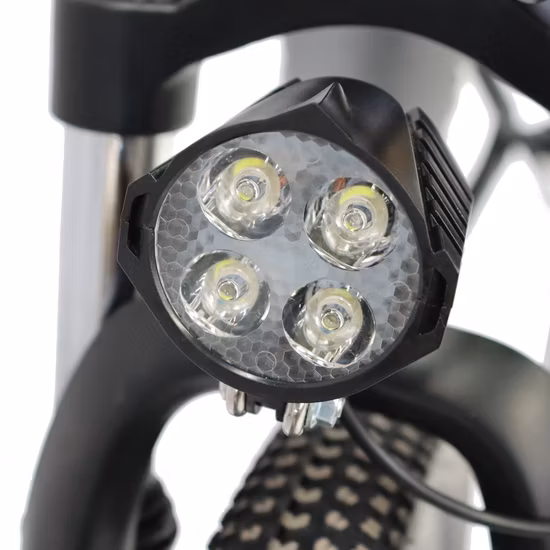 Electric Bike 350W Ebike Aluminum Frame Electric Bicycle Ebike with Hidden Lithium Battery