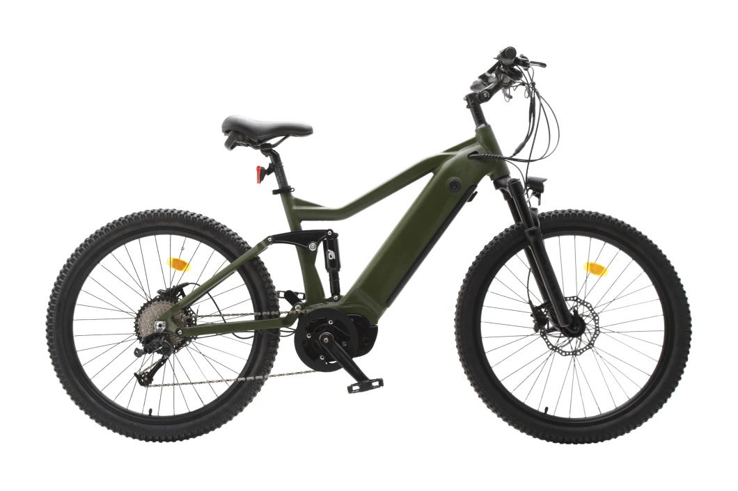 Luyuan Middle Drive Electric City Bike for Adults