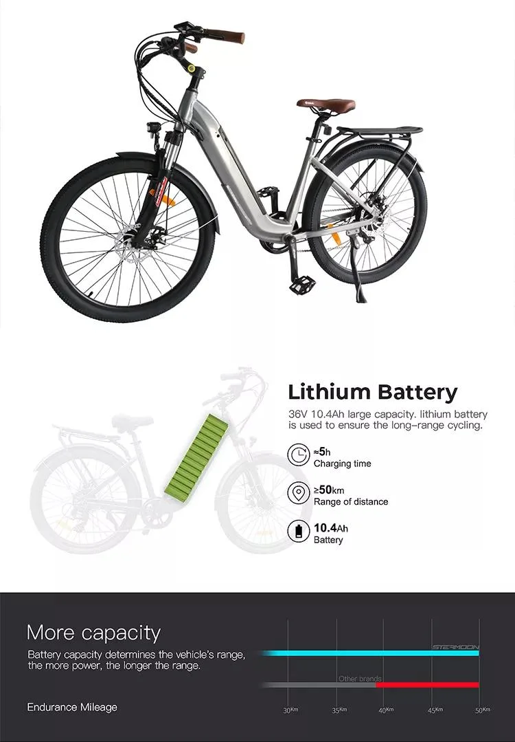 Premium Ebike Fat 26&prime;&prime;x4.0&prime;&prime; 14.5/17.5ah Battery Dual Suspension MTB Electric 27.5 MTB Frame with Electric Bike MID Drive