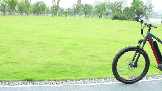 2018 Chinese Manufacturer 20inch Fat E-Bike 48V 500W Electric Bike Fat Tire