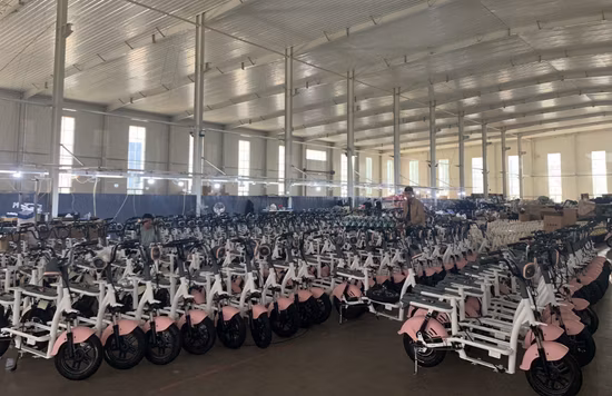 Electric City Folding Bicycle with 36V 250W Motor Warehouse in Europe