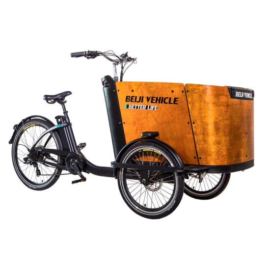 Family Cargo Tricycle Steel Frame & Waterproof Wooden Box Aluminium Bike Frame Electric 3 Wheels Cargo Bike for Sale