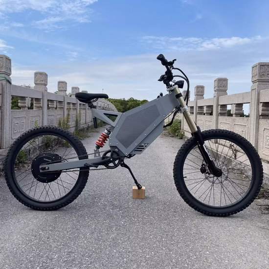 Fast Fat Tire off Road Electric Dirt Bike Mountain City Ebike