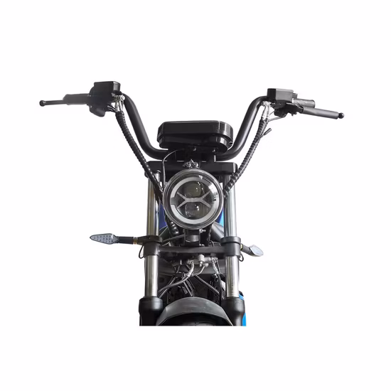 High Speed Big Power 4000W Portable 2 Wheel Electric Scooter Citycoco Made in China