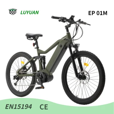 Luyuan Middle Drive Electric City Bike for Adults